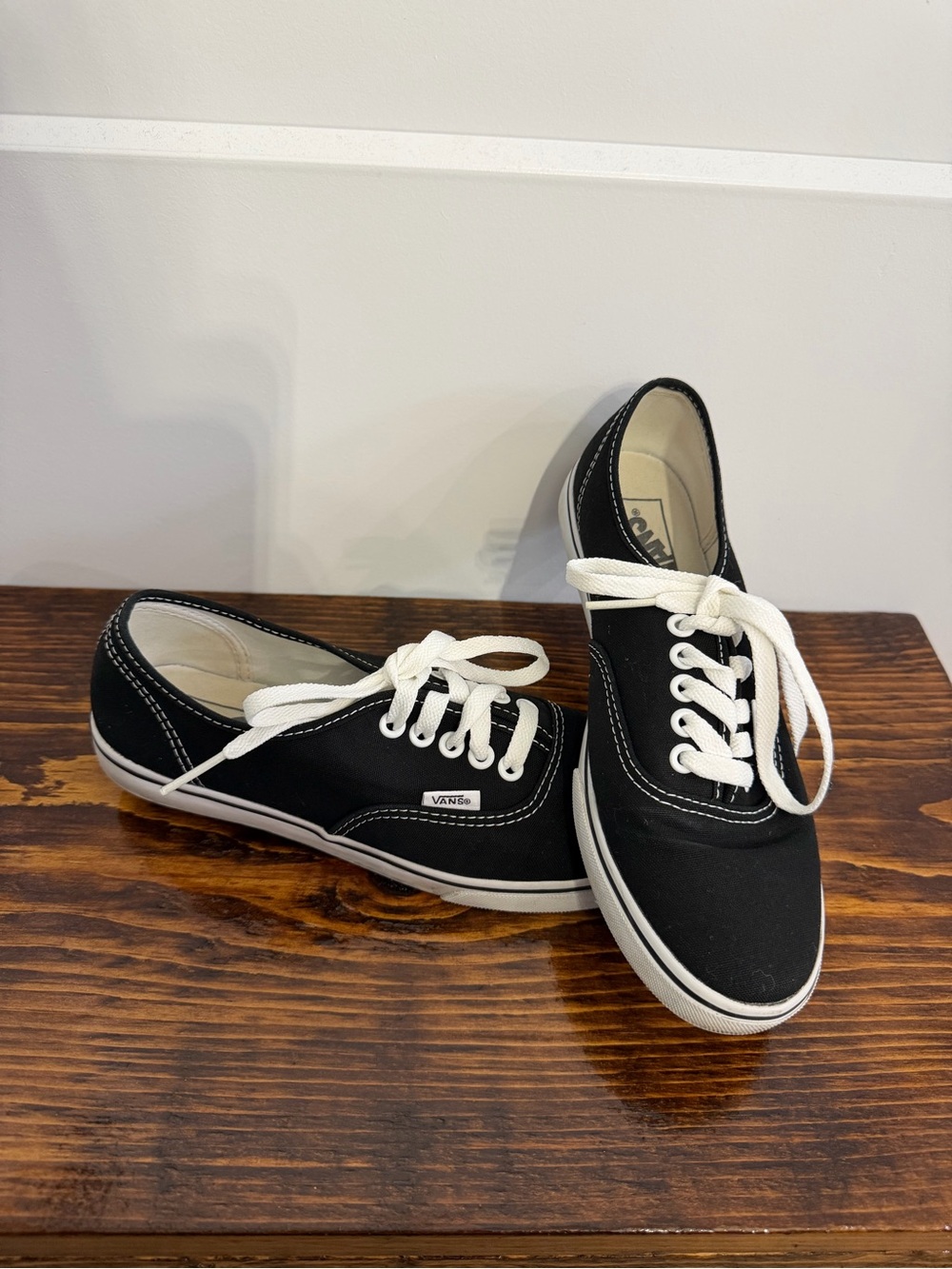 Vans Black Canvas Low-Top Sneakers with White Laces